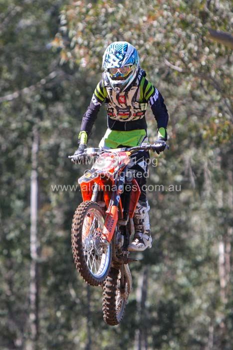 445x677 pixels (63K)